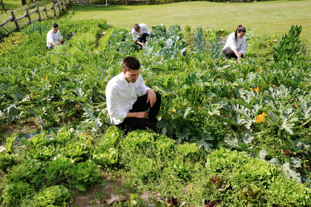 Sostenibilità Paolo griffa